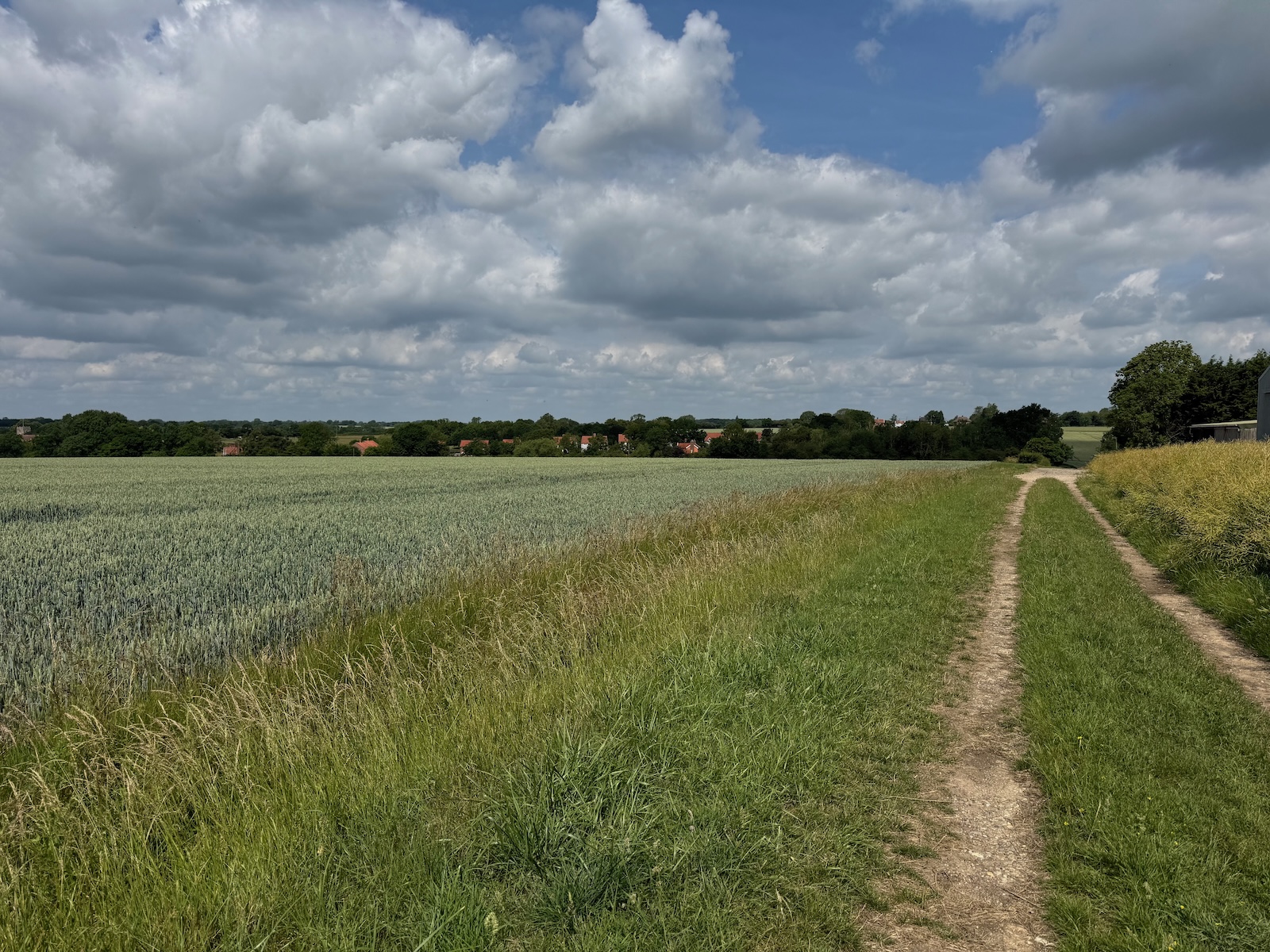 Walks and Footpaths