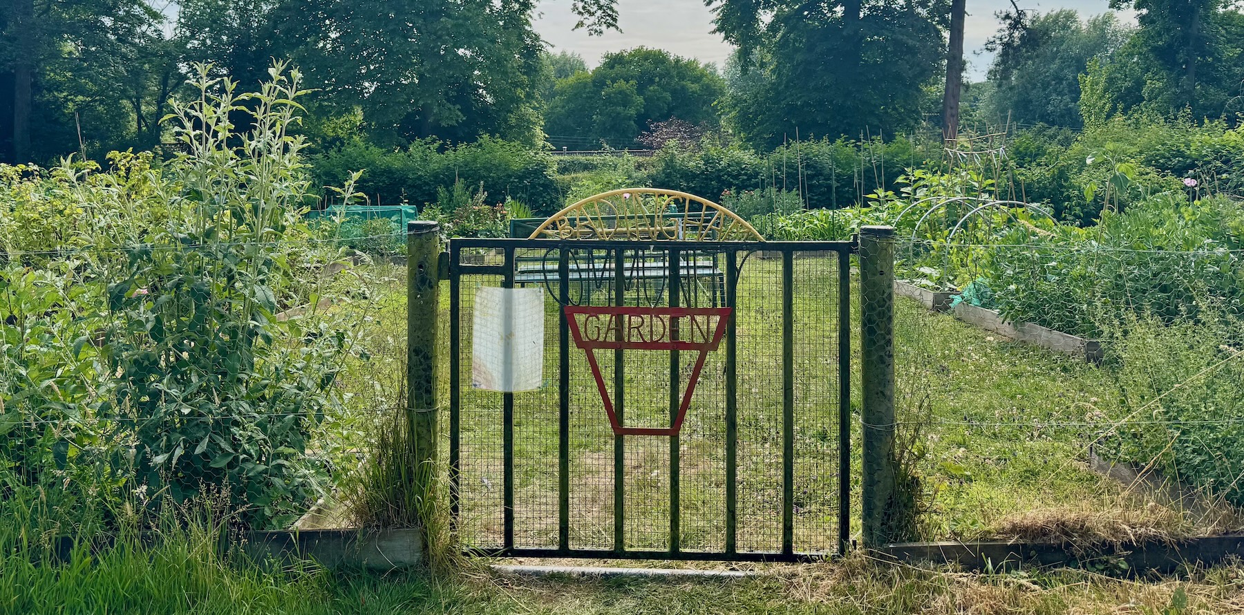 Enterprise Badingham garden plot available