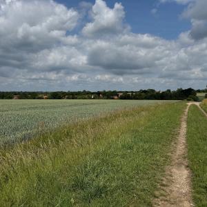 IMG 0922 Large