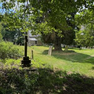 IMG 0924 Large